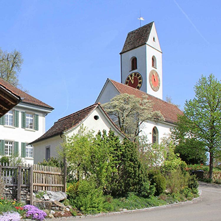 Blumen senden Hettlingen