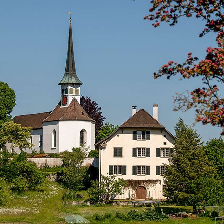 Blumen senden nach Seuzach