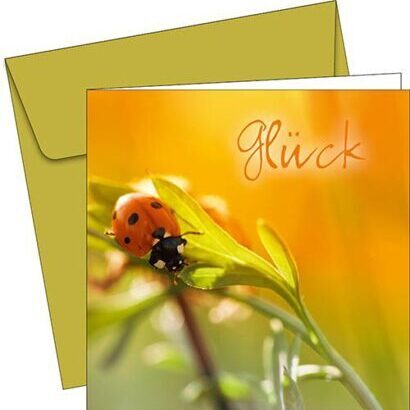 Greeting Card - 6089 - Happiness