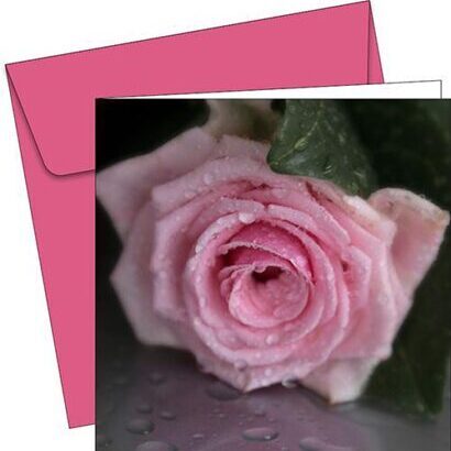 Grusskarte - 6117 - Pink Rose