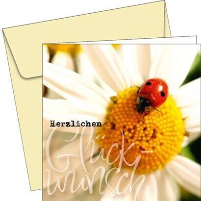 Greeting Card - 6315 - Congratulations