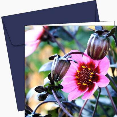 Greeting card Flower Pink