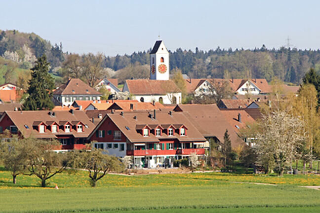 Flowers deliver Hettlingen